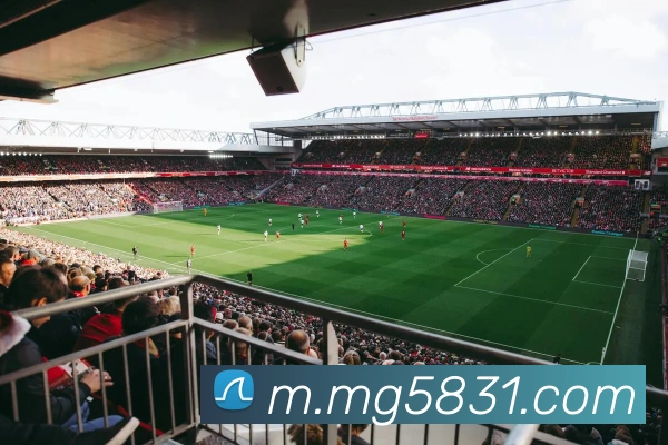 MG冰球突破服务体系